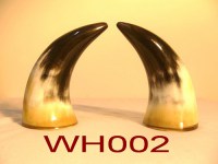 WH002